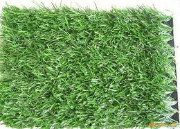 国产人人草,人人草,绿色健康生活新选择